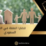 قضايا النفقة في النظام السعودي، أشكال خشبية على شكل أسرة، نقود